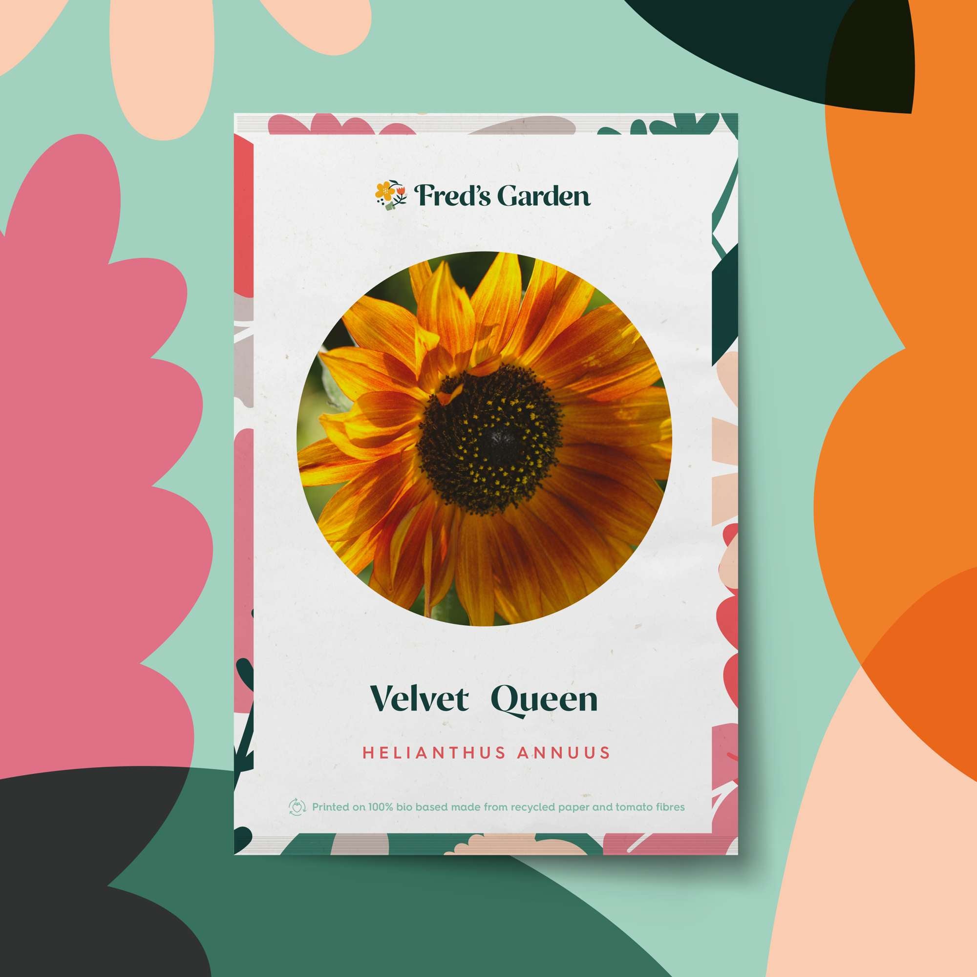 Solros 'Velvet Queen' (frö)